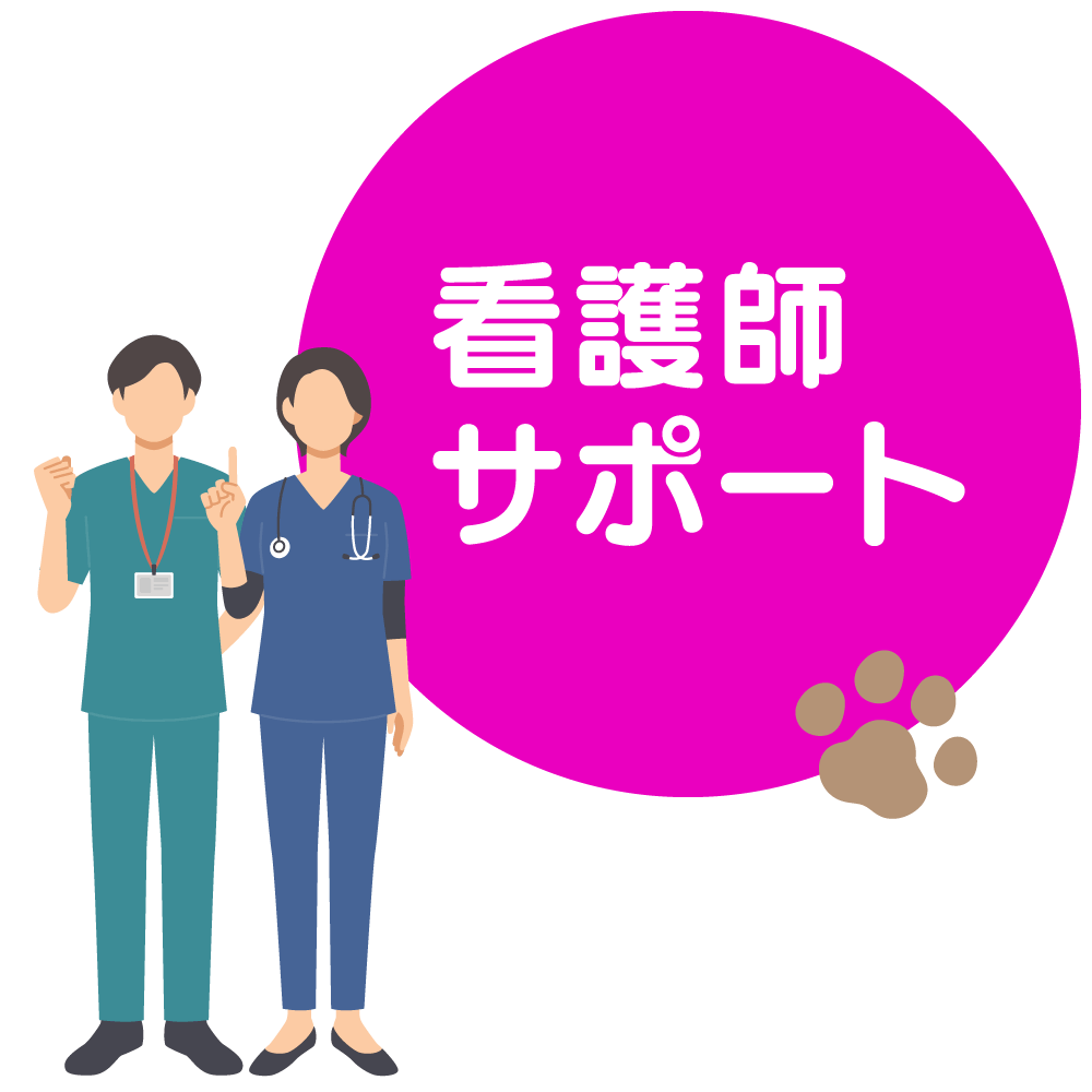 看護師サポート